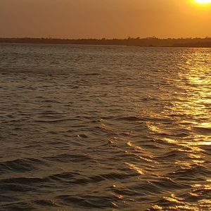 Meet your Posher, Sean